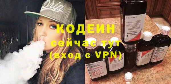 шишки Нея
