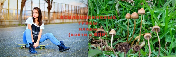 шишки Нея