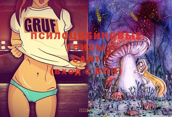 шишки Нея