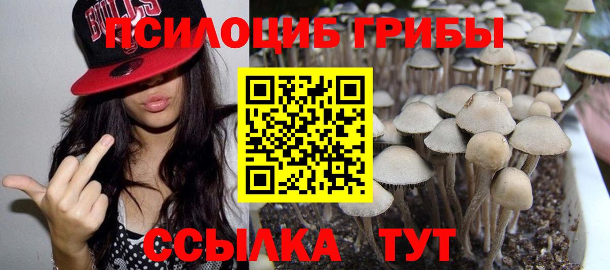 Галлюциногенные грибы Cubensis Большой Камень