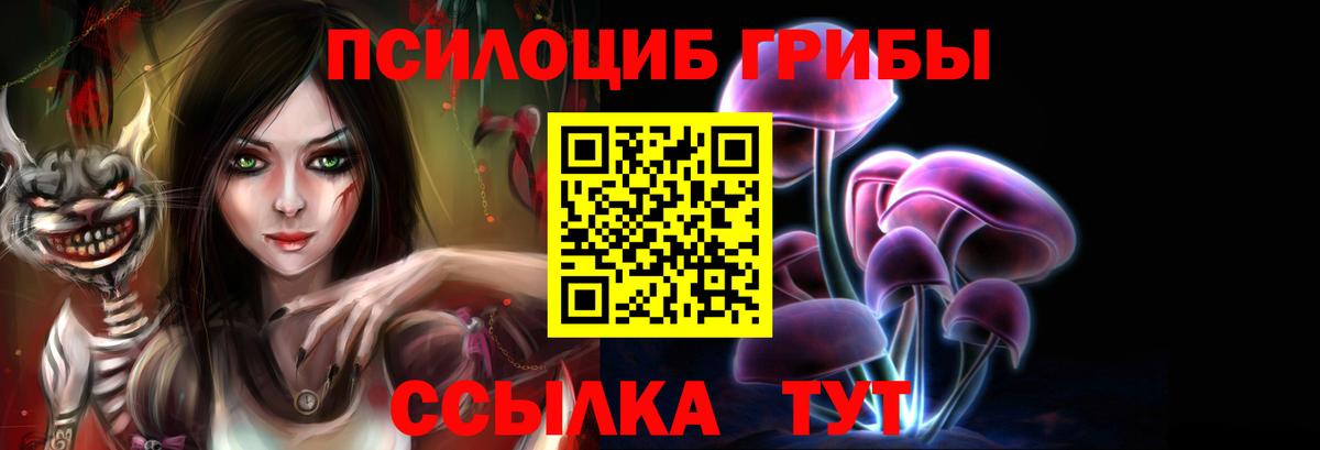 Псилоцибиновые грибы GOLDEN TEACHER  Вход с VPN  Большой Камень 